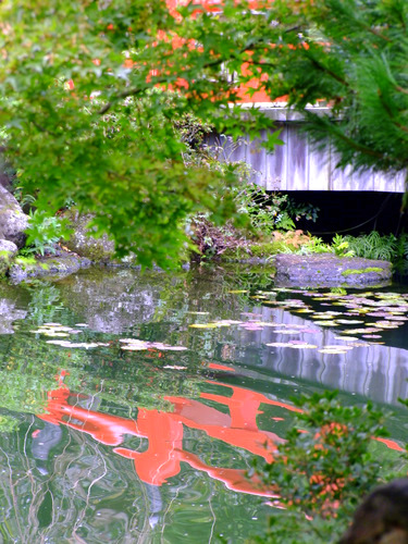 「島根県　出雲・松江を巡る旅2011　大根島の日本庭園　由志園」_a0000029_12113971.jpg