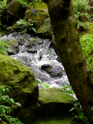 「島根県　出雲・松江を巡る旅2011　大根島の日本庭園　由志園」_a0000029_1292029.jpg