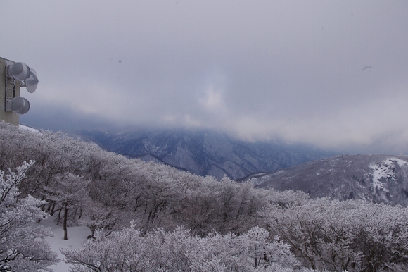 c0113733_0183321.jpg