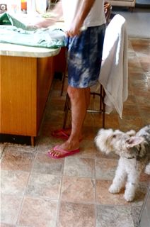 生クリームが余ったらチョコマフィン 犬とご飯と雑貨 生クリームが余ったらチョコマフィン 犬とご飯と雑貨