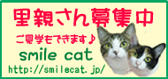 b0024945_2256764.png