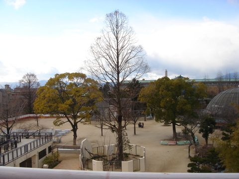 冬の動物園の絶景？観覧車_e0233845_9475275.jpg