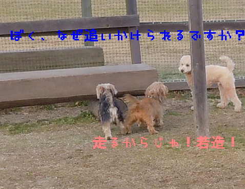 e0028446_21342686.jpg
