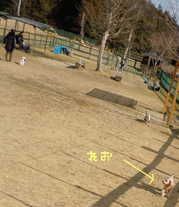 e0028446_2155243.jpg
