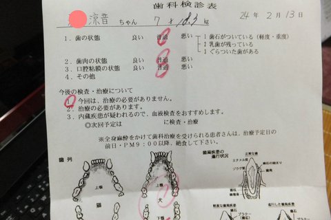 無料歯科検診 うちの子一番