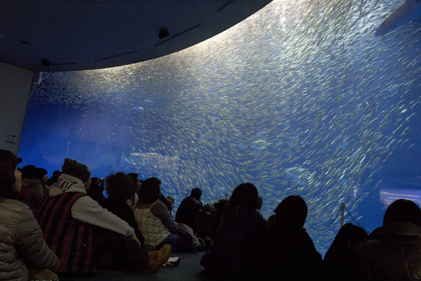 b0167256_20425553.jpg