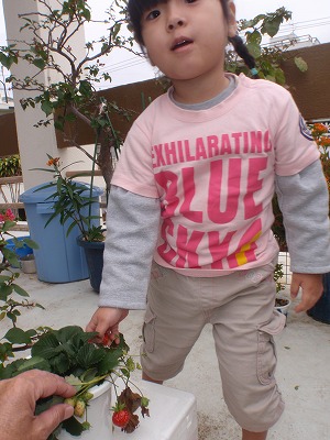 c0180460_16144495.jpg