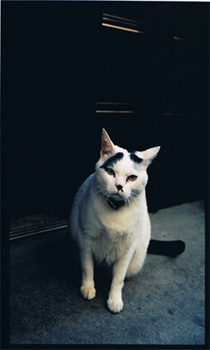 d0253060_1149568.png
