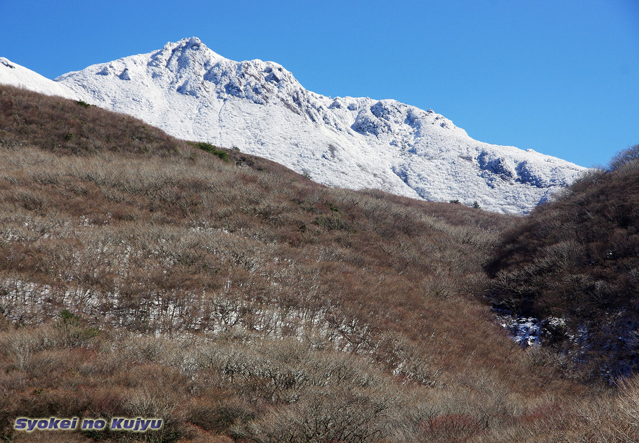 2月11日 大船山朝駆け 「祝、〇長復帰」_f0173067_14333374.jpg