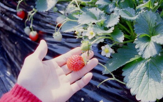c0124773_22292458.jpg