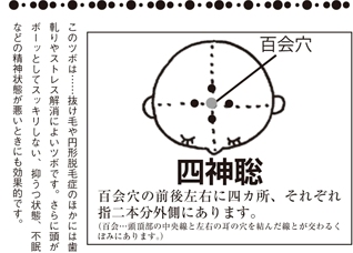 第8回 抜け毛や白髪が気になる 四神聡 ししんそう あさひ鍼灸治療院の東方健聞録 第8回 抜け毛や白髪が気になる 四神聡 ししんそう あさひ鍼灸治療院の東方健聞録