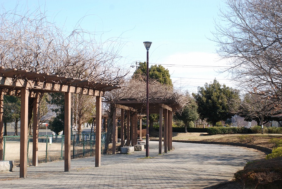 c0187781_05454.jpg