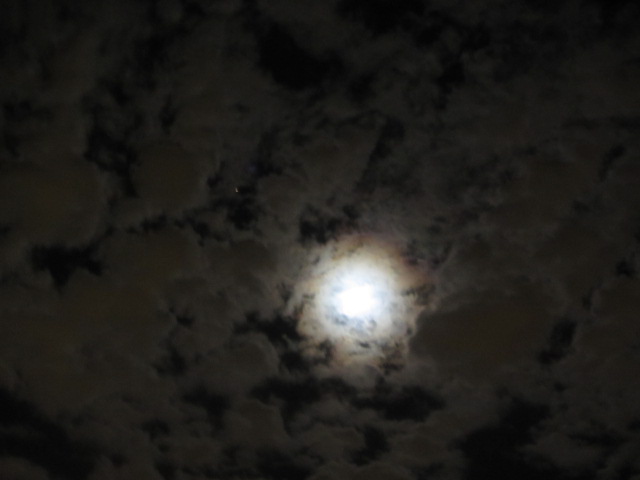 b0202185_426846.jpg