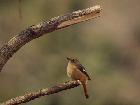 e0242086_0383359.jpg