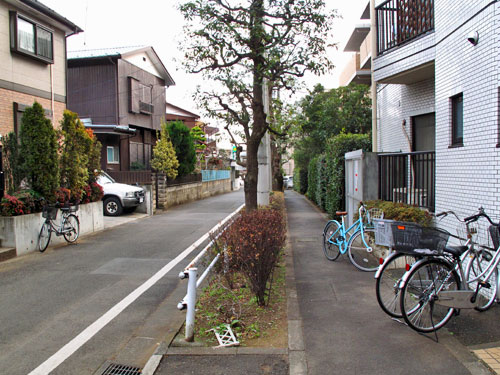 c0163001_2251145.jpg