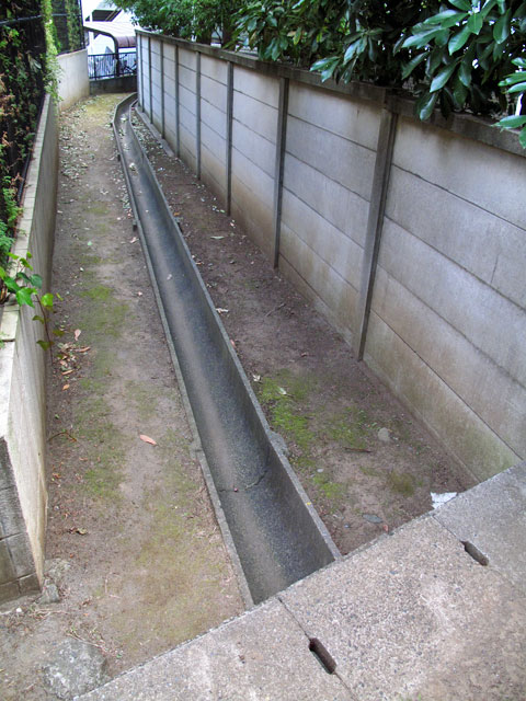c0163001_2252246.jpg