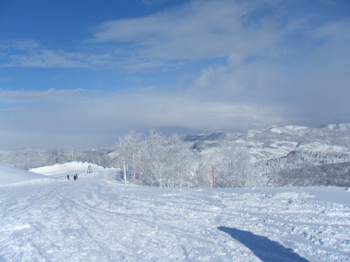 a0167308_2284634.jpg