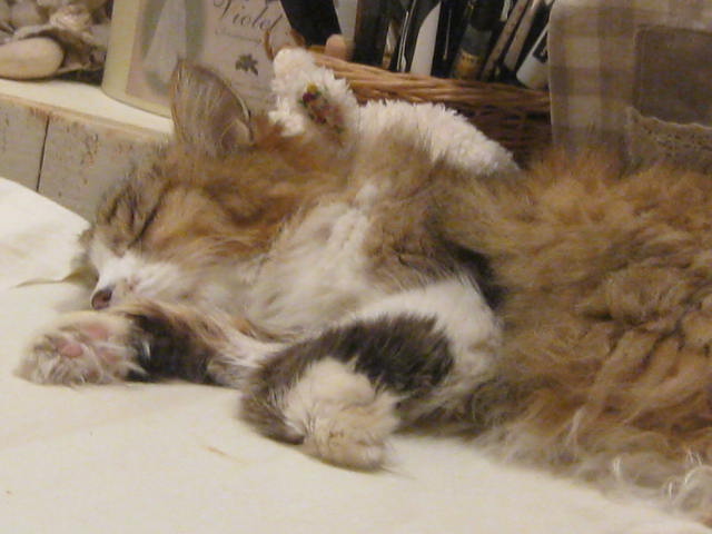 c0085916_2141441.jpg