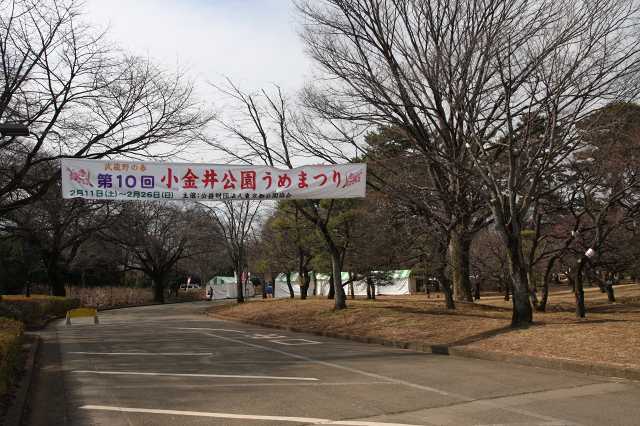 e0117318_1223736.jpg