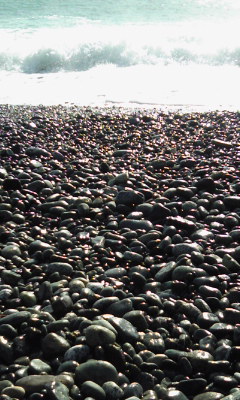 e0218019_1472210.jpg