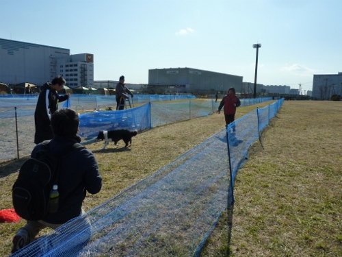 ぎゃろっぷIGLEチャリティーコーシング@東扇島_c0050220_371886.jpg