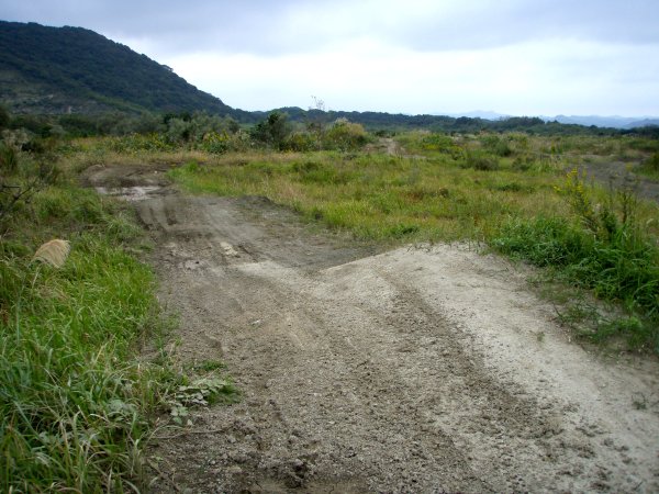 c0235221_18753.jpg