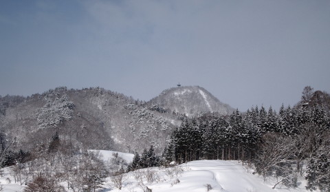 b0147224_2021356.jpg