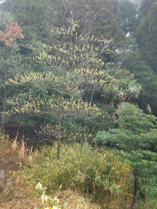 b0175524_12353014.jpg