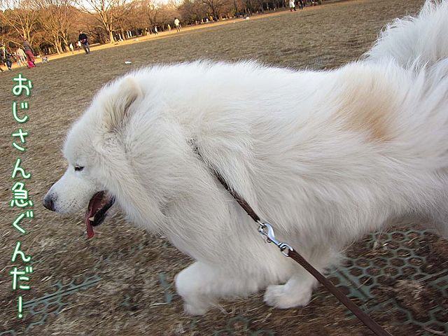 日曜日のおっきな公園_c0062832_6282847.jpg