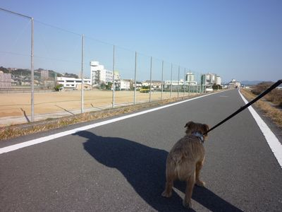 c0211540_12373838.jpg