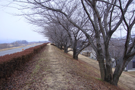 e0226943_017867.jpg