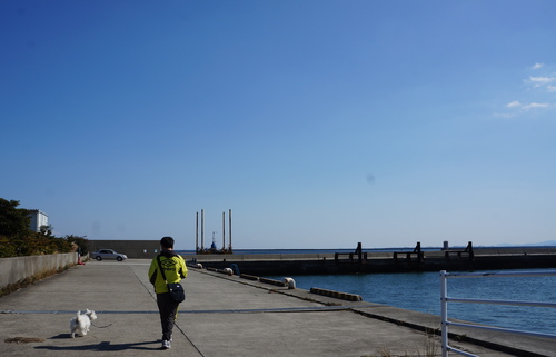 b0214647_221310.jpg