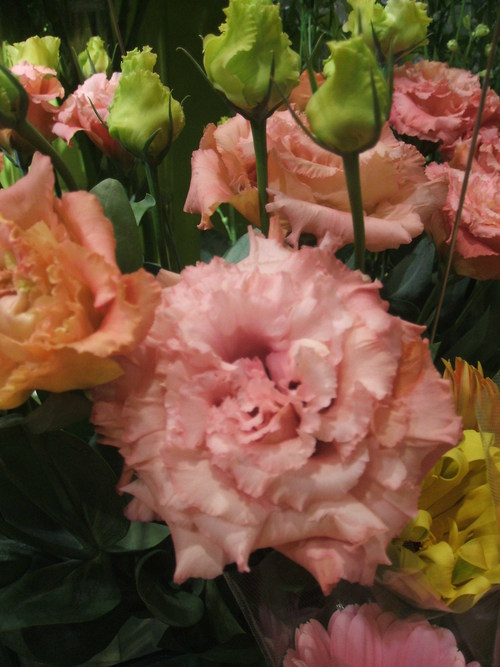 b0239952_21425435.jpg