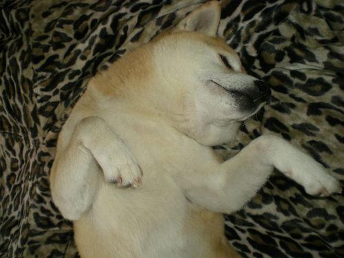 2012年2月14日(火)今日、復活!!_f0060461_16172864.jpg