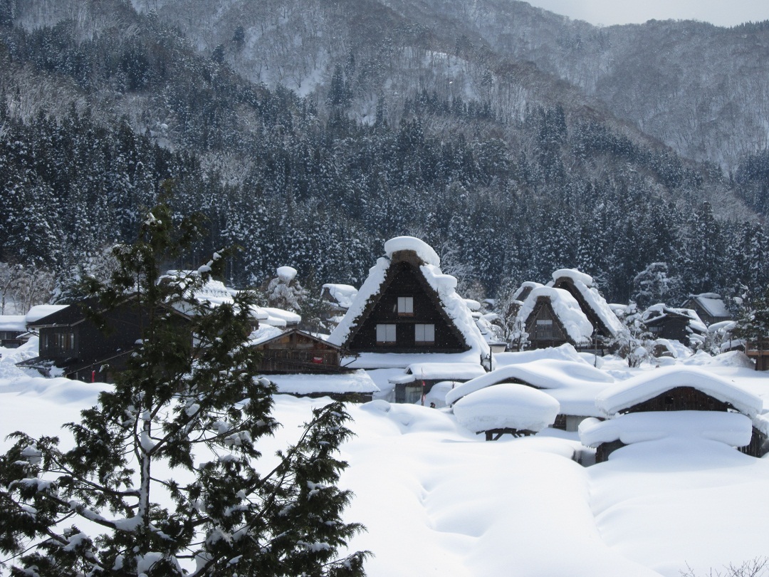 雪の白川郷_f0205367_13192371.jpg