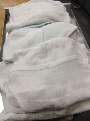 f0146768_84447.jpg