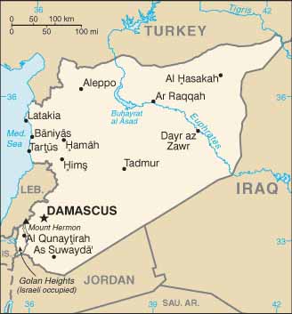 ダマスカス市でシリア軍軍医が暗殺の犠牲者に　DP-News　＋　Thrive考_c0139575_22251796.jpg