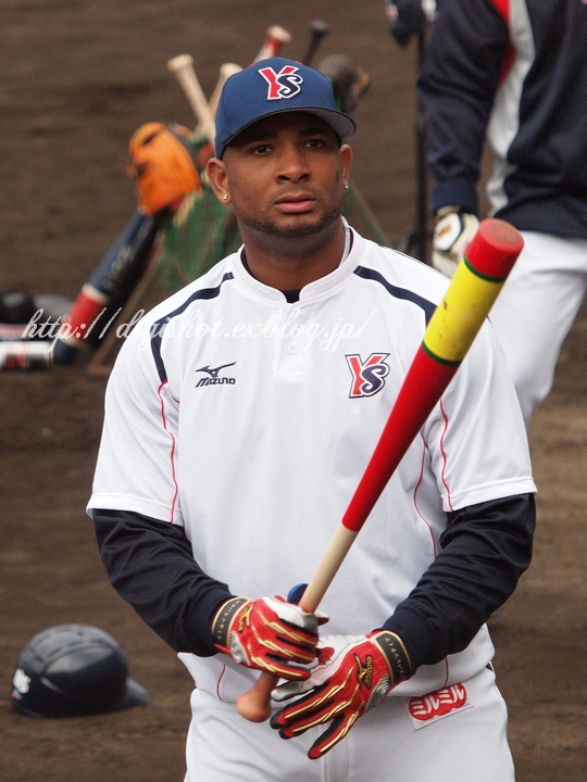 YSキャンプ バレンタインにはバレンティン選手のフォトでも YSキャンプ バレンタインにはバレンティン選手のフォトでも