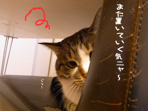 c0126176_15772.jpg
