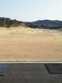 b0147481_113458.jpg