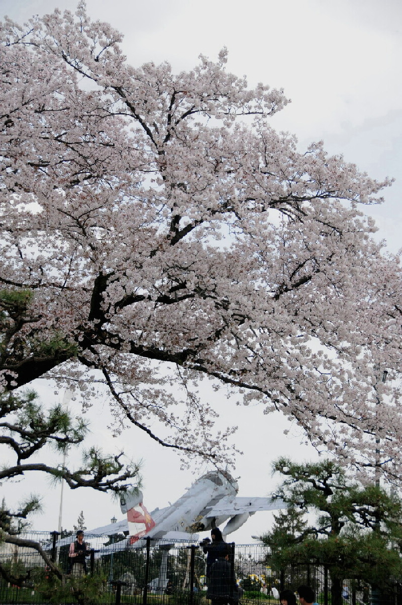 2月14日　厚木基地　さよならアイクロ！_f0097981_20103364.jpg