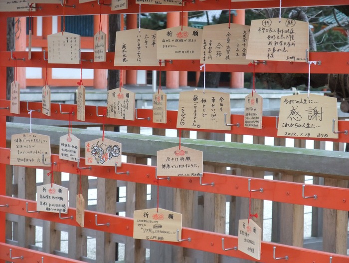 「脳卒中から助かる会」,t―PA療法で横浜市に要望書_b0206085_1261153.jpg