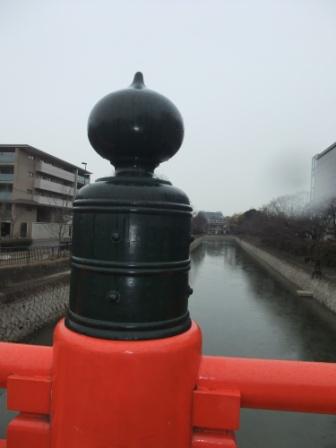 愛媛県の病院,永久気管孔を塞いだ事故で調査報告書_b0206085_13225437.jpg