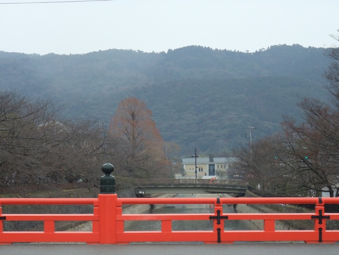静岡県の病院,常位胎盤早期剥離による胎児死亡で2012年2月10日和解_b0206085_13265781.jpg