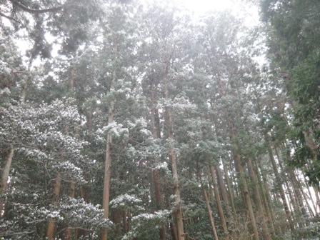 f0141785_9698.jpg