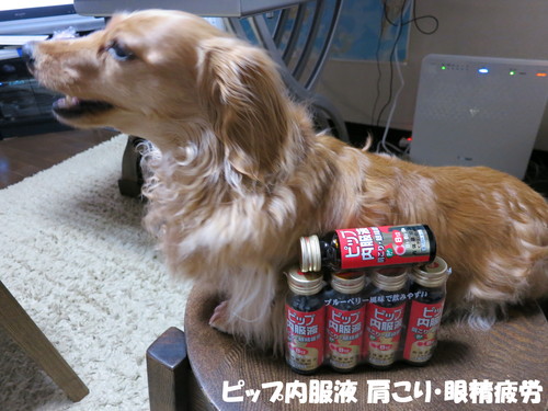 ピップ内服液 肩こり・眼精疲労_b0200291_19195345.jpg