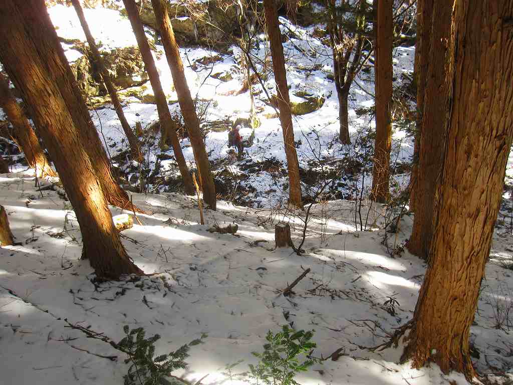 伊吹山　　素晴らしい晴天　　愛媛県　24.02.12_b0124306_23282929.jpg