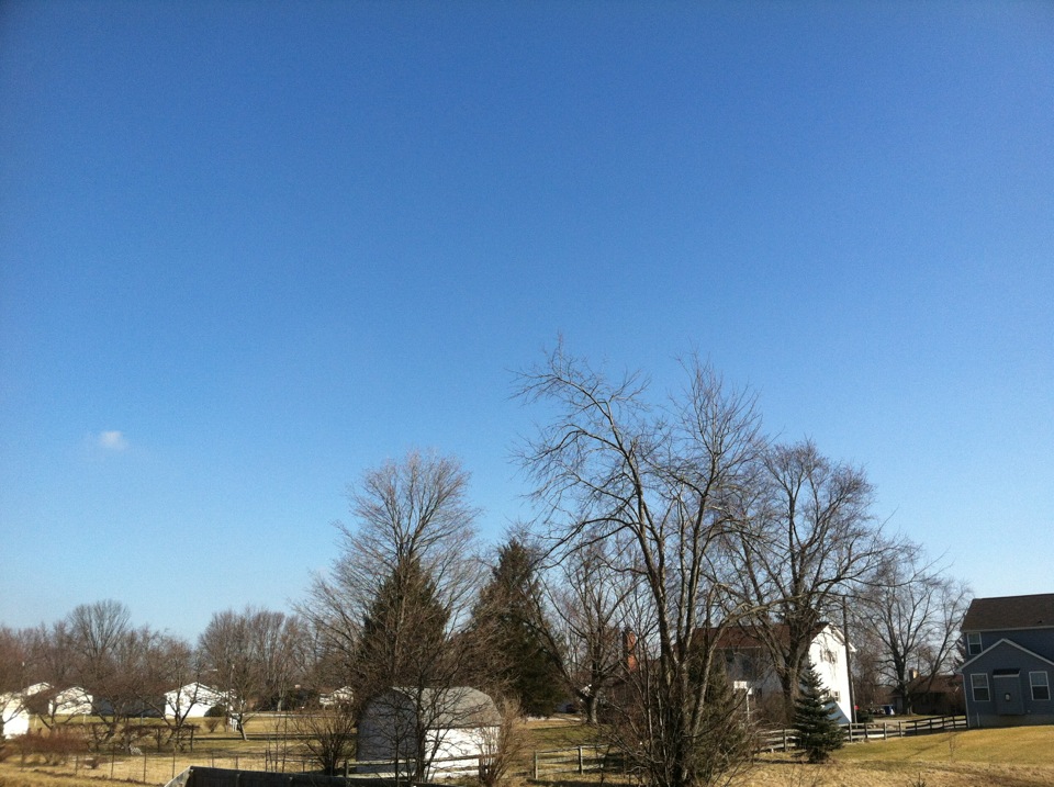c0079011_3522997.jpg