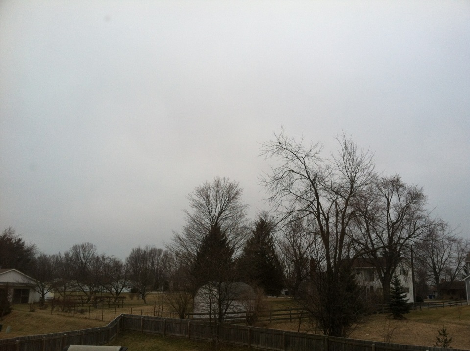 c0079011_3525576.jpg