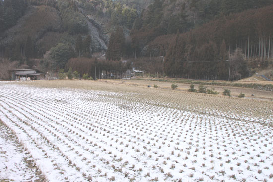 小野郷エコツーリズムフォトツアー3_e0048413_1149342.jpg